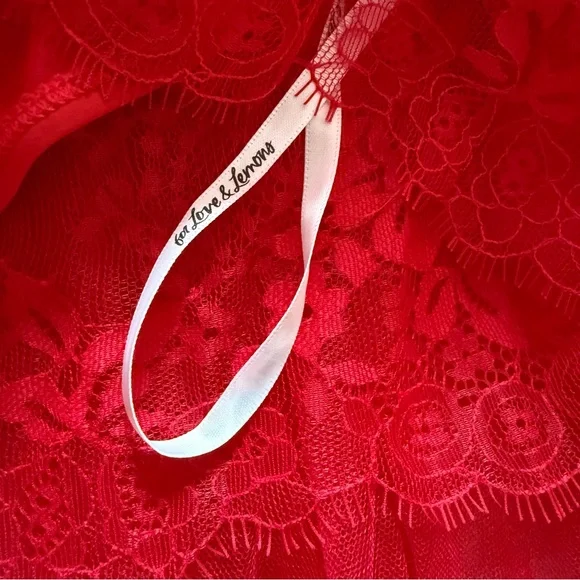 New! FOR LOVE & LEMONS Bustier Gown / Corset Lace Maxi Dress - Picture 14 of 15